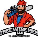 Tree Wise Men 