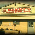 Hammys Roadside Bar