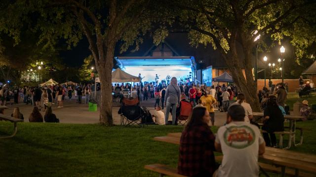 Peoria Blues & Heritage Music Festival 