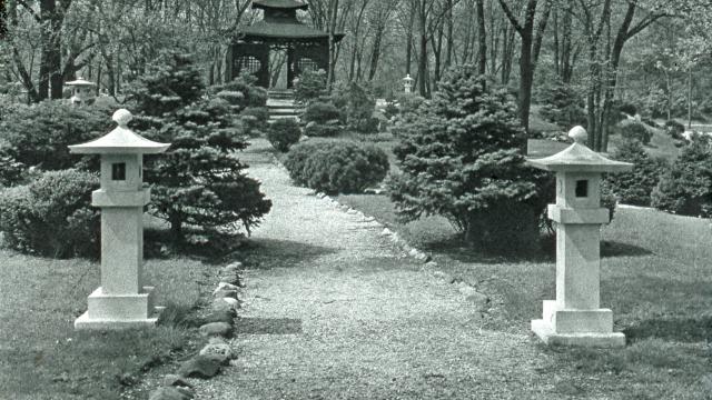 Laura Bradley Park: A Legacy of Beauty and Community in Peoria