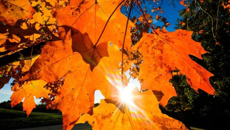 Detweiller Park: Peoria’s Natural Playground