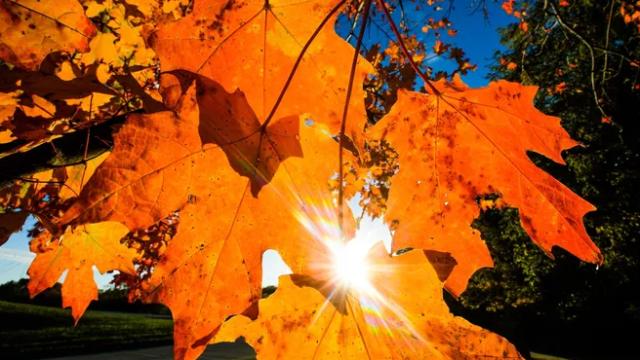 Detweiller Park: Peoria’s Natural Playground