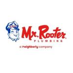 Mr Rooter