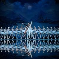SWAN LAKE Coming to the Coronado PAC January 25