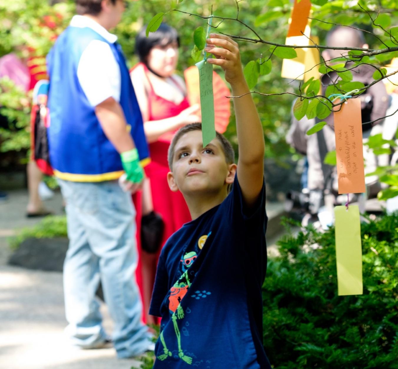 Japanese Summer Festival Returns to Anderson Japanese Gardens 