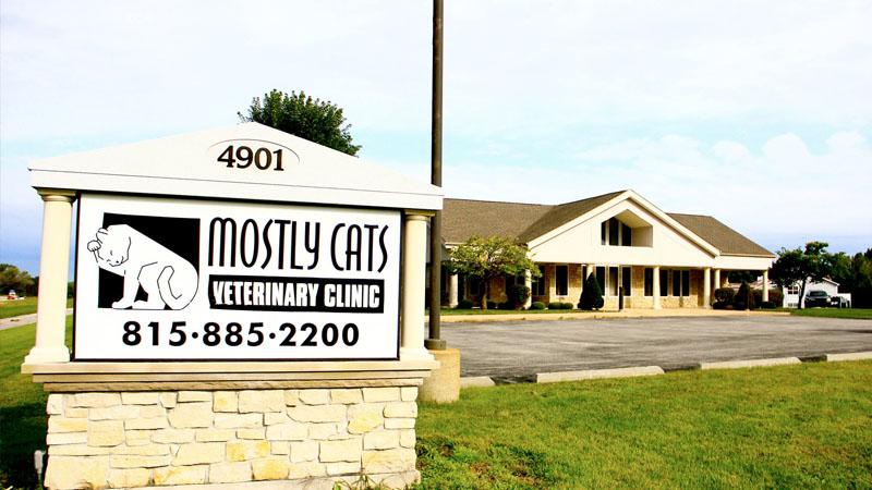 Mostly Cats Veterinary Clinic