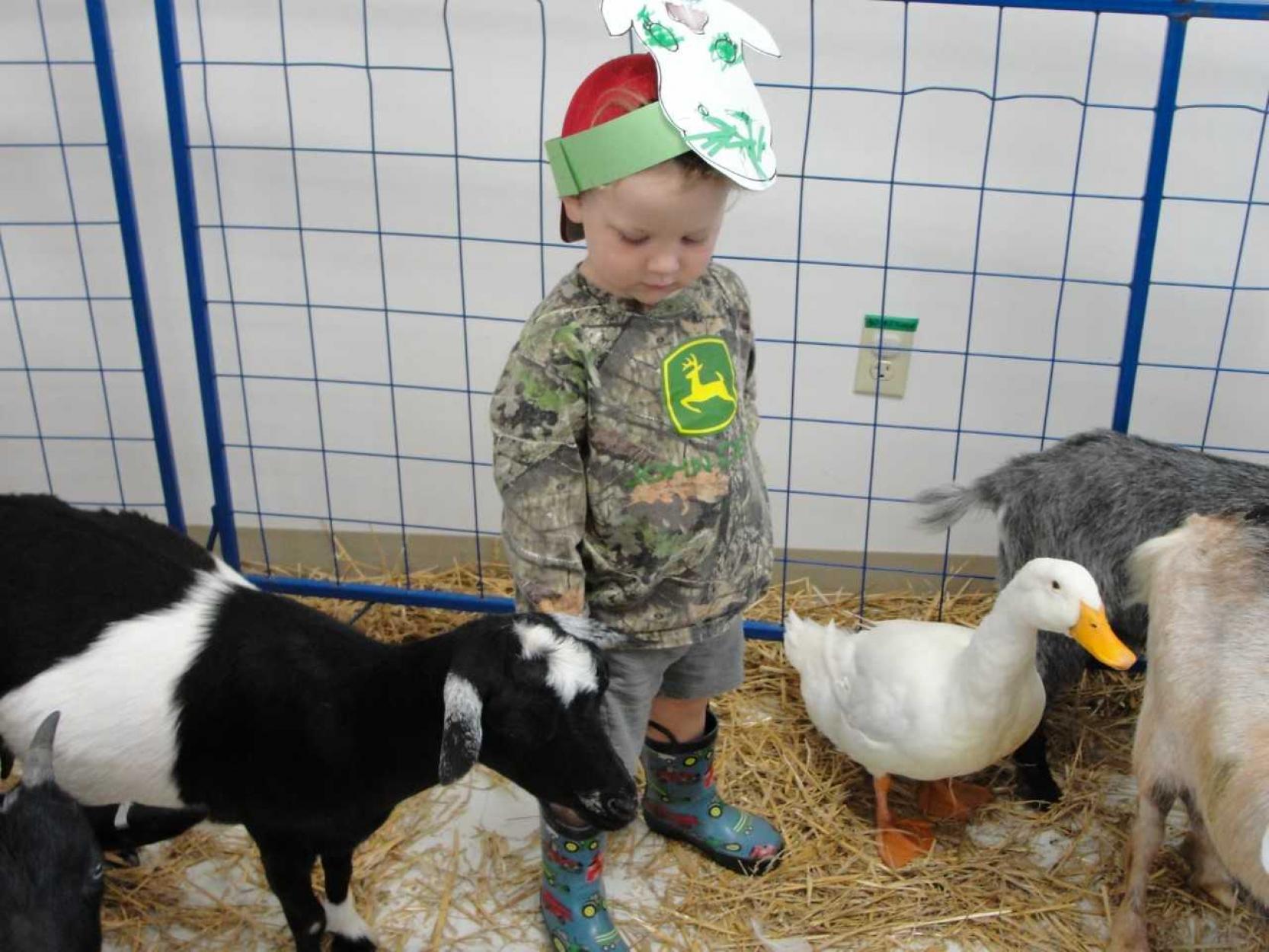 Living the Farm Life at Discovery Center Museum