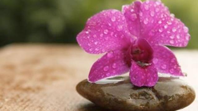 Healthy Habits Wellness Boutique & Amethyst Spa