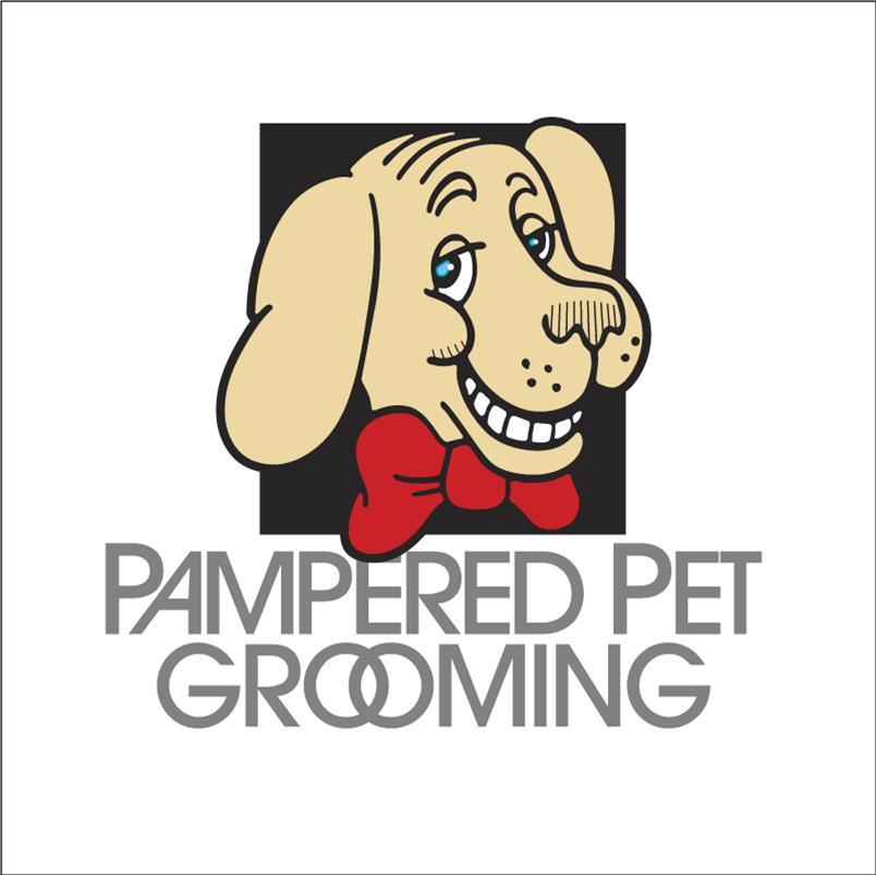 $5 DIY Dog Wash