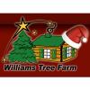 Williams Tree Farm