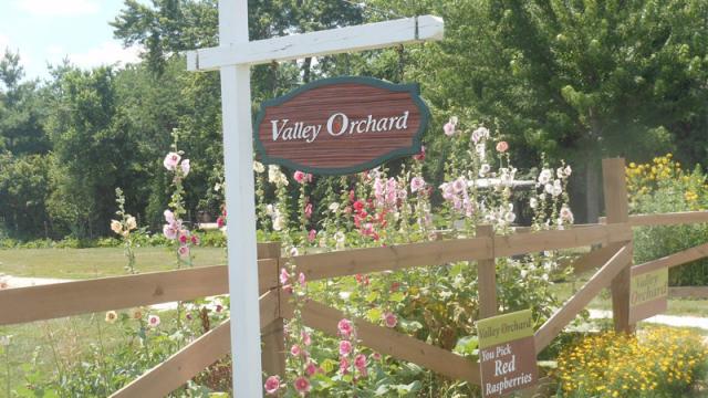 Valley Orchard
