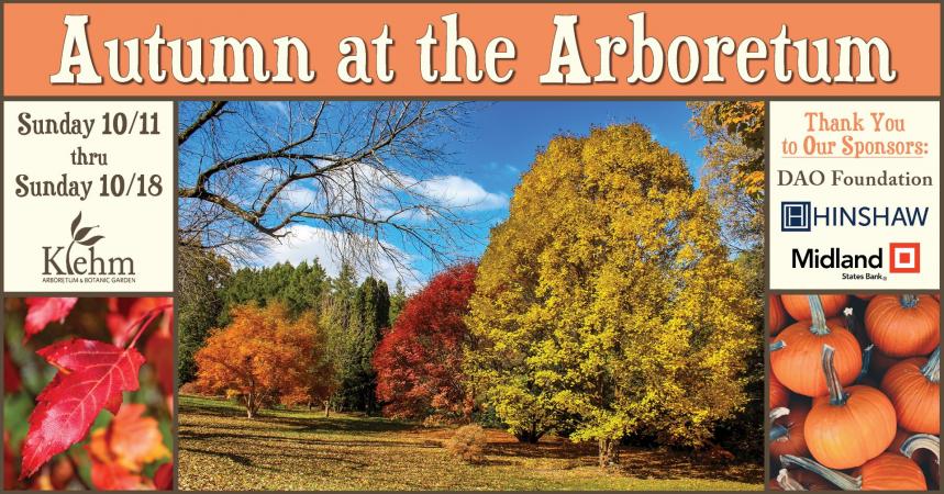 Autumn at the Arboretum