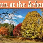 Autumn at the Arboretum