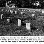 Winnebago County Poor Farm and Cemetery