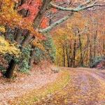 Bike the Kishwaukee Bike Path