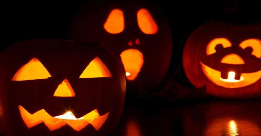 In the Outdoors: Tree Trunk-or-Treat