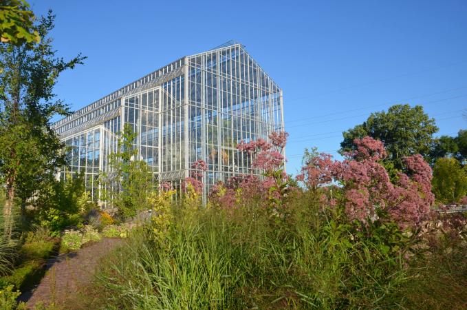 Nicholas Conservatory Field Trip Opportunities