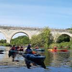 Paddle Trip: Turtle Creek