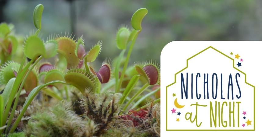 Nicholas at Night: Carnivorous Plant Carnival