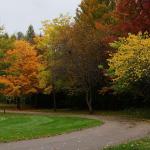 Hike at Klehm Arboretum
