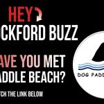Dog Paddle Beach