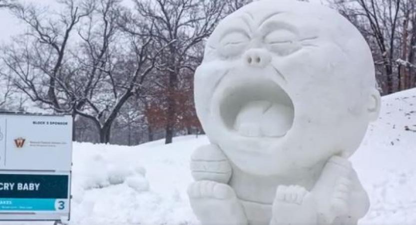 35th Annual Illinois Snow Sculpting Competition