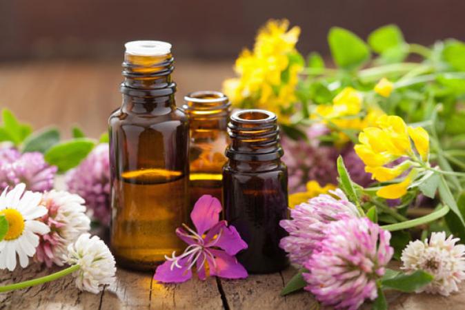 National Herbalist Day: Free Class: Herbs and Oils