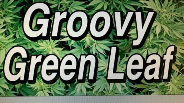 Groovy Green Leaf