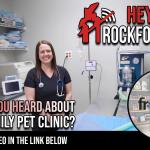 Reassuring Surgical Care For Your Pet At Frost Family Pet Clinic