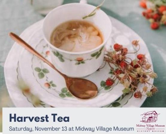 Harvest Tea