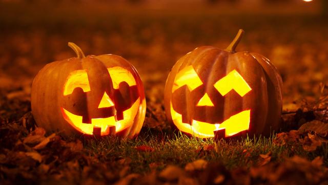 Halloween Weekend Roundup!