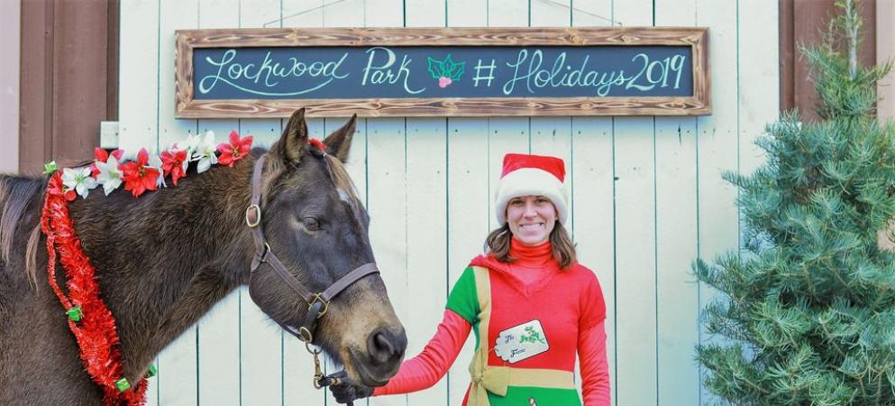 Photos with a Holiday Horse