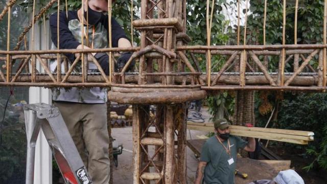 Weekend Roundup: December 24-26 2021