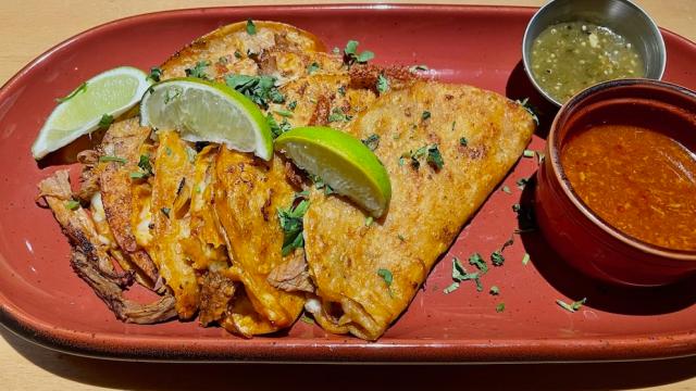 Lucha Cantina Birria Taco Food Review