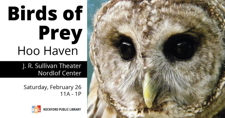 Birds of Prey Presented by Hoo Haven