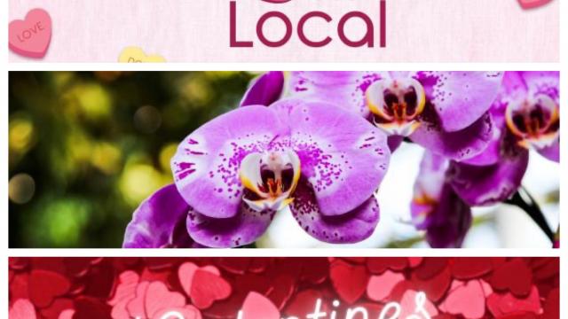 Weekend Roundup: Valentine's Edition