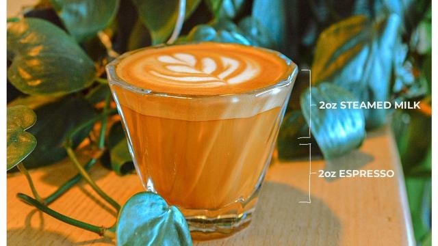 Favorite Coffee Shop