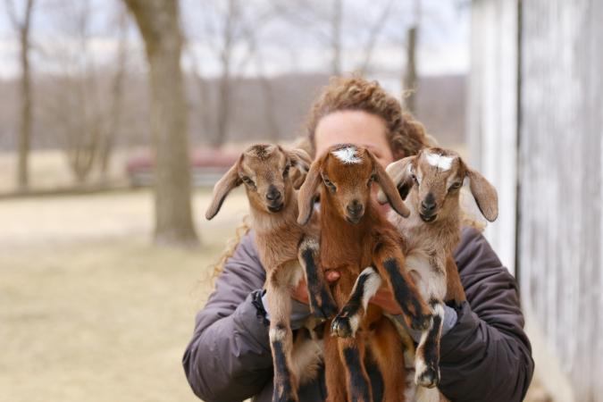 Soap Making Class and Baby Goats!