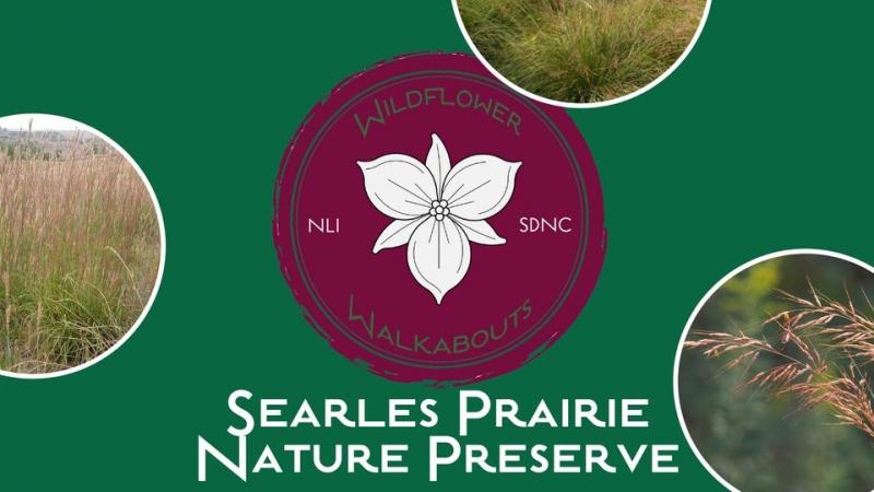 Wildflower Walkabout: Searls Prairie Nature Preserve