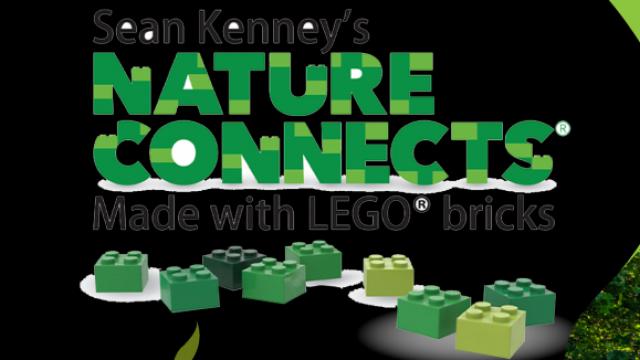 Sean Kenney's Nature Connects Made with LEGO® Bricks