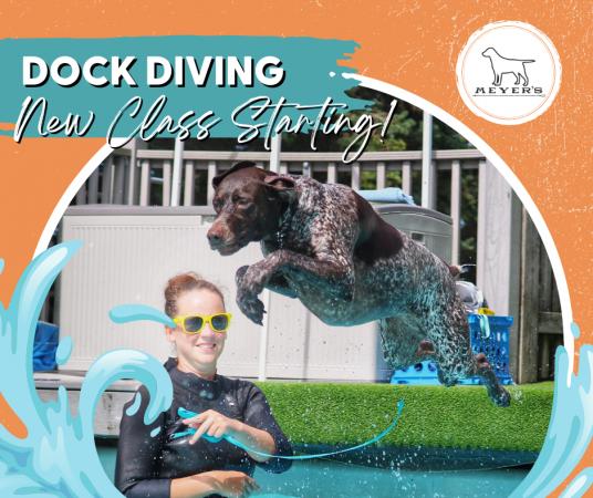 Intro to Dock Diving Class