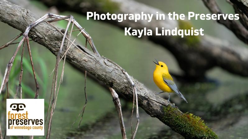 Photography in the Preserves with Kayla Lindquist