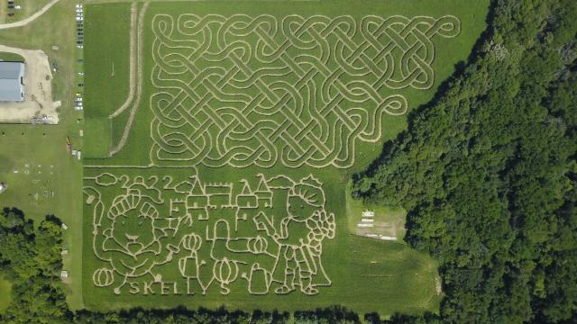 Corn Mazes!