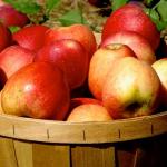 The Orchards Are Open!