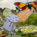 Delicate Forces Program: Butterflies and Dichroic Flowers