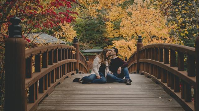 Portraits in the Garden