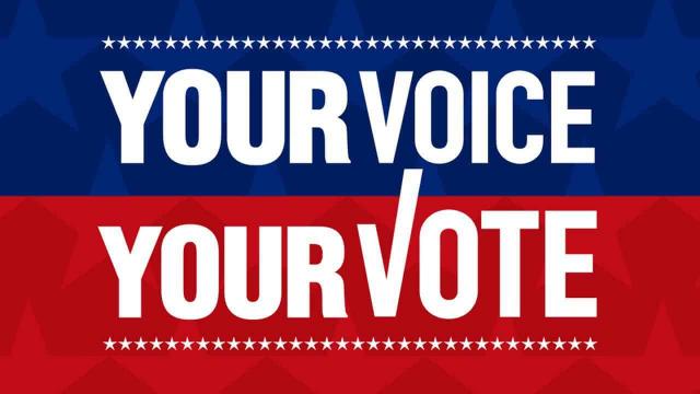 Your Vote Is Your Voice
