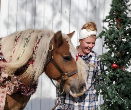 Photos with a Holiday Horse