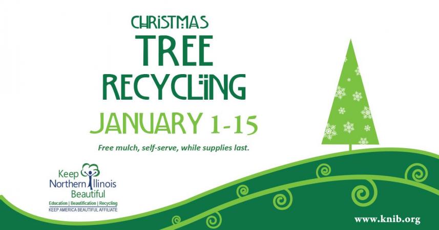  Christmas Tree Recycling