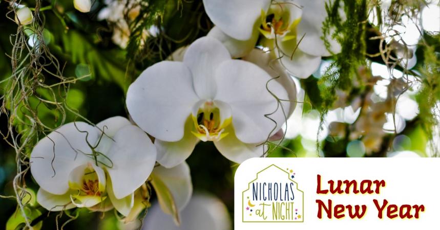Nicholas at Night: Lunar New Year